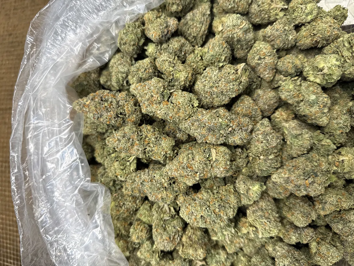 Acai Gelato Flower